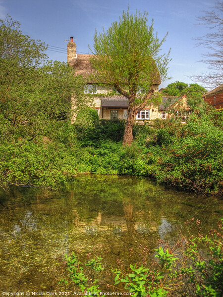 Enchanting Thatched Cottage by Wildlife Pond Picture Board by Nicola Clark