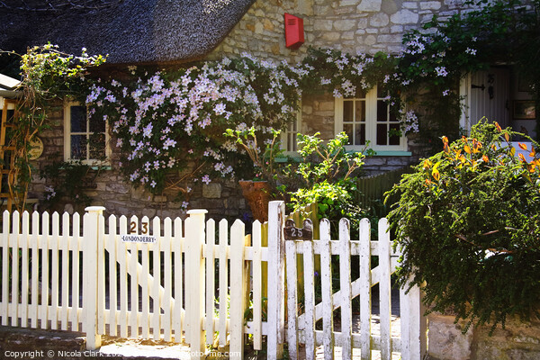 Charming Thatched Cottages in Dorset Picture Board by Nicola Clark