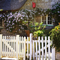 Buy canvas prints of Charming Thatched Cottages in Dorset by Nicola Clark