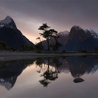Buy canvas prints of Milford Sound by Michael Treloar