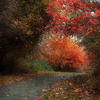 Buy canvas prints of The Last Of Autumn 2 by Christine Lake
