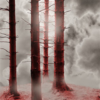 Buy canvas prints of Forest Trees in Red by Christine Lake