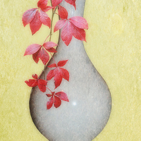 Buy canvas prints of Autumn in a Vase by Christine Lake