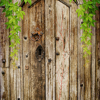 Buy canvas prints of Behind A Closed Door by Christine Lake