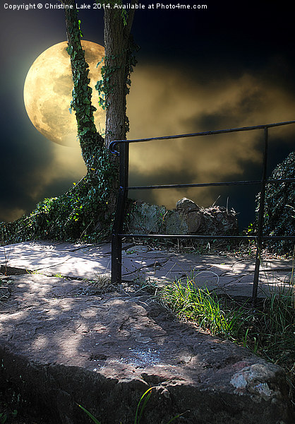  Walking in Moonlight Framed Print by Christine Lake