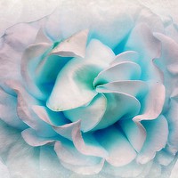 Buy canvas prints of Shades Of Blue by Christine Lake