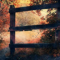 Buy canvas prints of The Magic Of Autumn by Christine Lake