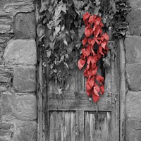 Buy canvas prints of The Secret Door by Christine Lake
