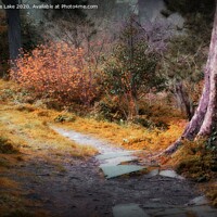 Buy canvas prints of Autumn Walk by Christine Lake