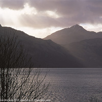Buy canvas prints of Loch Lomond by Derek Wallace