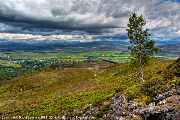 Kingussie and the Cairngorms, Scottish Highlands Picture Board by David Lewins (LRPS)
