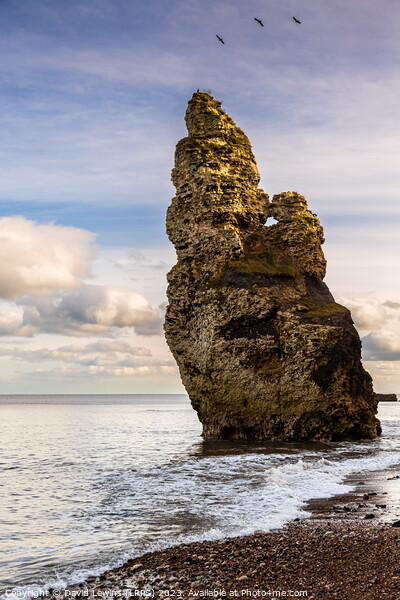 Liddle Sea Stack Chemical Beach Picture Board by David Lewins (LRPS)