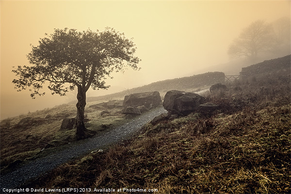 Misty Sunrise - Cumbria Picture Board by David Lewins (LRPS)