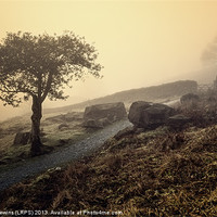 Buy canvas prints of Misty Sunrise - Cumbria by David Lewins (LRPS)