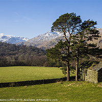 Buy canvas prints of Rydal Head & Great Rigg by David Lewins (LRPS)