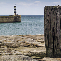 Buy canvas prints of  Lighthouse - Seaham Harbour by David Lewins (LRPS)