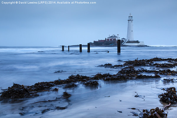 St Marys Lighthouse Picture Board by David Lewins (LRPS)