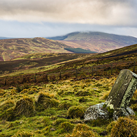 Buy canvas prints of Hedgehope Hill - Harthope Valley by David Lewins (LRPS)