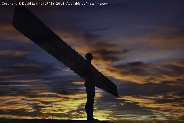 Angel Of The North - Gateshead Picture Board by David Lewins (LRPS)