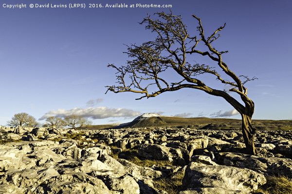 Ingleborough Picture Board by David Lewins (LRPS)