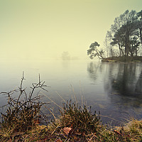 Buy canvas prints of Tarn Hows by David Lewins (LRPS)
