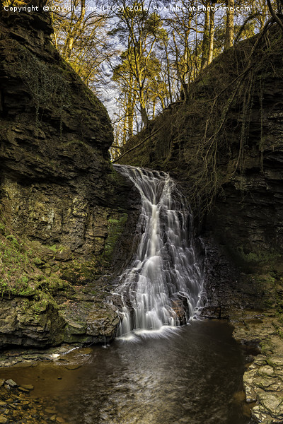 Hareshaw Linn - Bellingham Picture Board by David Lewins (LRPS)