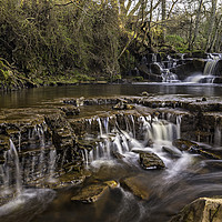 Buy canvas prints of Hareshaw Burn Waterfall by David Lewins (LRPS)