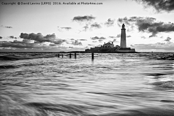 St Mary's Lighthouse - Black and White Picture Board by David Lewins (LRPS)