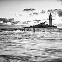 Buy canvas prints of St Mary's Lighthouse - Black and White by David Lewins (LRPS)