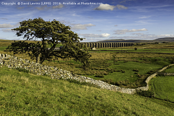 Ribblehead Viaduct Picture Board by David Lewins (LRPS)