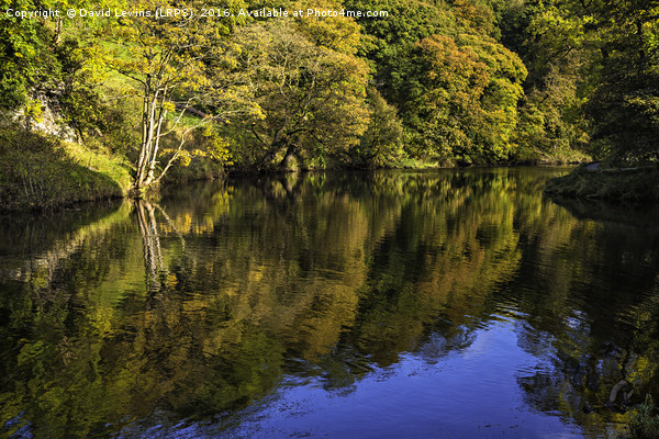 Autumnal River Wharfe Picture Board by David Lewins (LRPS)