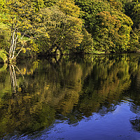 Buy canvas prints of Autumnal River Wharfe by David Lewins (LRPS)
