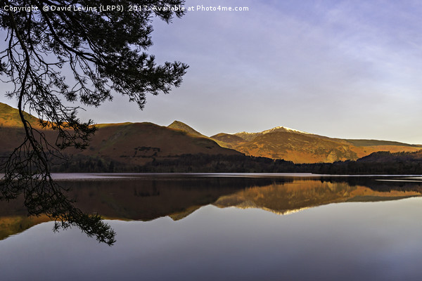 Catbells Reflection Picture Board by David Lewins (LRPS)