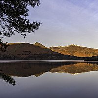 Buy canvas prints of Catbells Reflection by David Lewins (LRPS)
