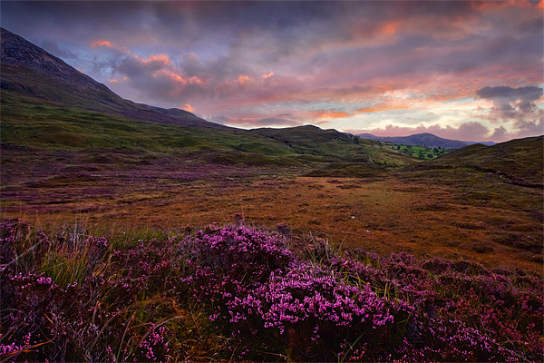 Morning Light - Isle of Skye, Cuillin Hills Picture Board by David Lewins (LRPS)