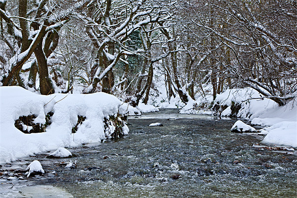 The Winter Stream - Congburn, Durham Picture Board by David Lewins (LRPS)