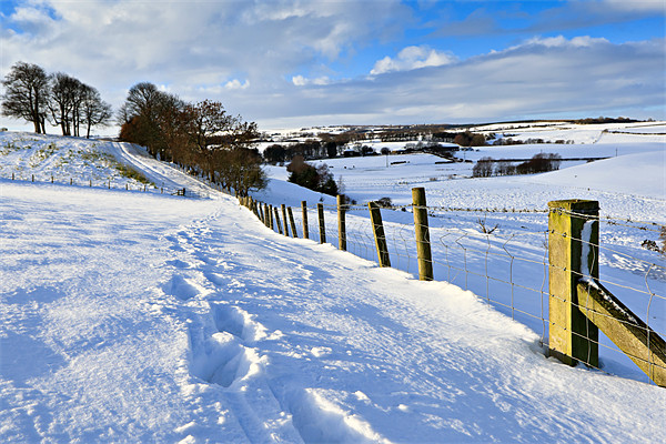 Winter Fields - County Durham Picture Board by David Lewins (LRPS)