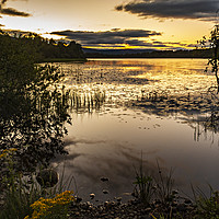 Buy canvas prints of Loch Kinord by David Lewins (LRPS)
