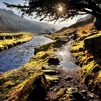 Buy canvas prints of Watendlath Beck, Watendlath, Cumbria by David Lewins (LRPS)