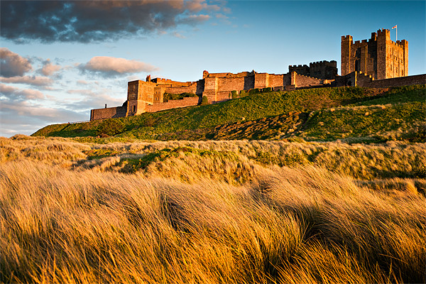 Bamburgh Castle, Northumberland. UK Picture Board by David Lewins (LRPS)