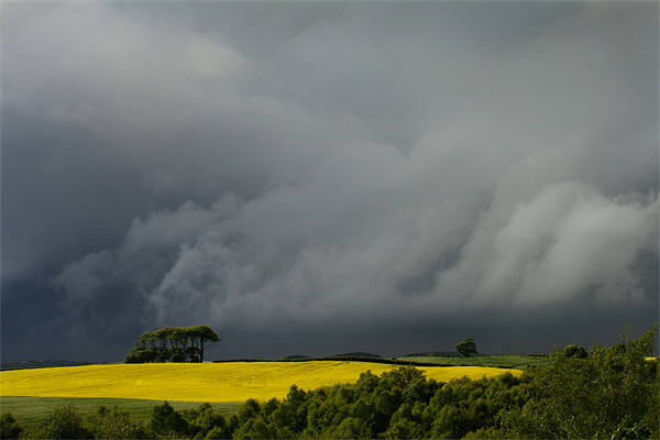 Storm Cloud and Rape Seed Field Picture Board by David Lewins (LRPS)