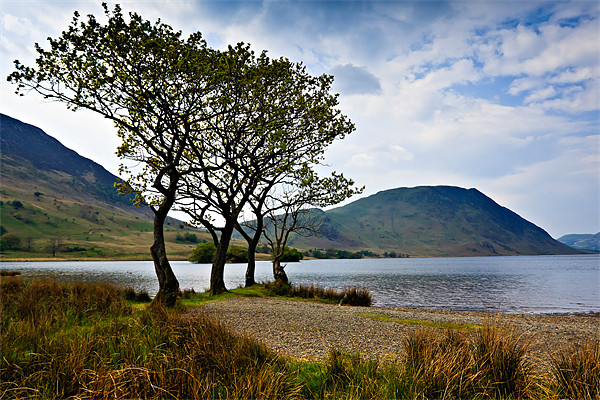 Crummock Water, Cumbria. Picture Board by David Lewins (LRPS)