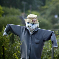 Buy canvas prints of Scarecrow by Julie Skone