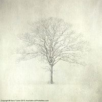 Buy canvas prints of Tree in the Snow, Wramplingham, Norfolk by Dave Turner