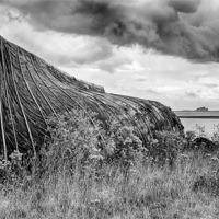 Buy canvas prints of Lindifarne Boat Shed and Bamburgh Castle by Dave Turner
