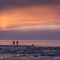 Buy canvas prints of  Sunset Dog Walkers by Dave Turner