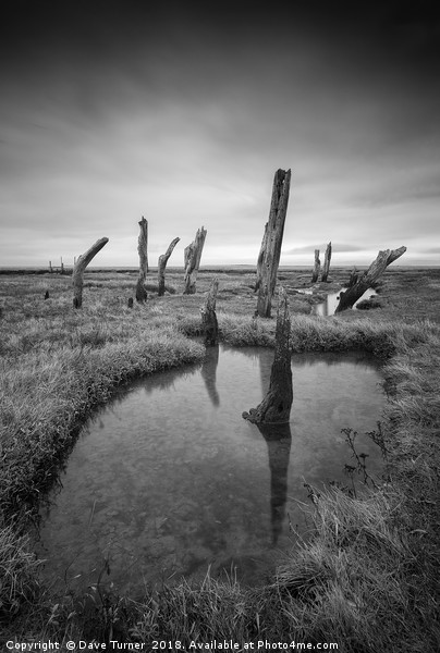 Thornham Marsh, Norfolk Picture Canvas Wall Art in Colour by Dave