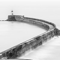 Buy canvas prints of Newhaven Harbour Arm, Sussex by Dave Turner