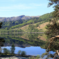 Buy canvas prints of Reflections on Thirlmere by Dan Thorogood