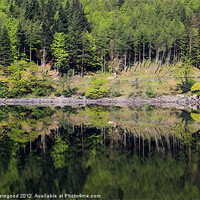 Buy canvas prints of Reflections on Thirlmere by Dan Thorogood